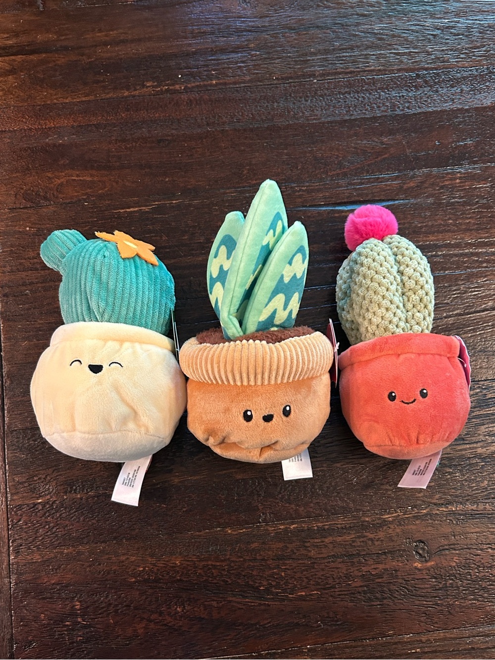 Plant Plushies Cactus & Succulent Toy Set - Set of Three